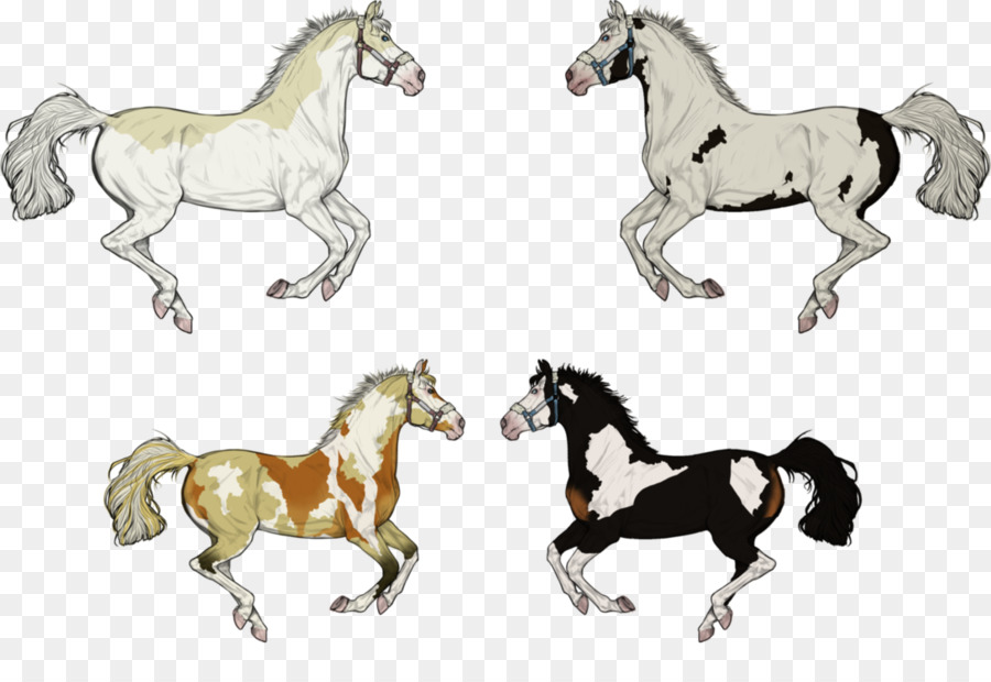 Caballos，Caballo PNG