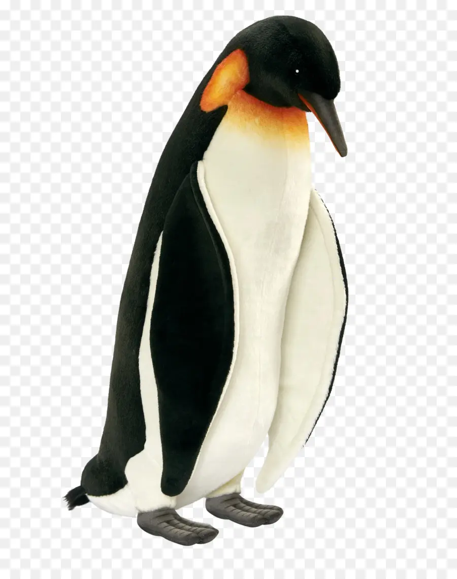 Pingüino Rey，Pingüino PNG