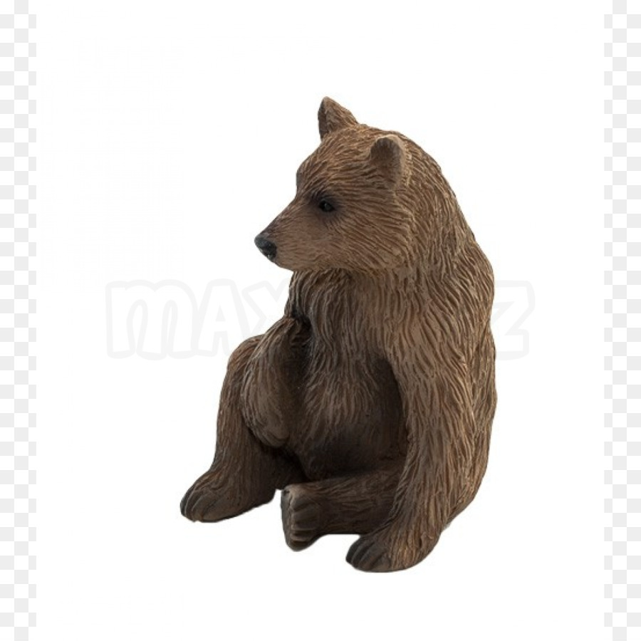 Oso Grizzly，Oso PNG