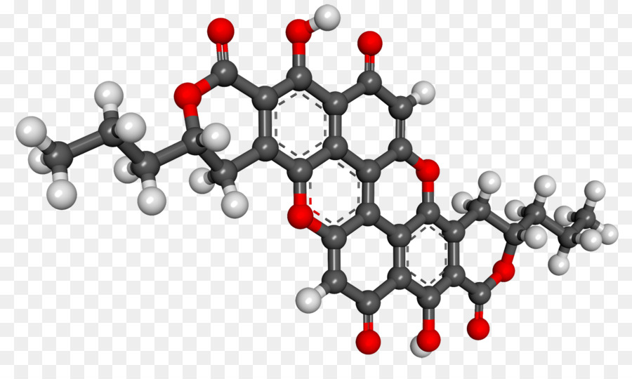 Xylindein，Chlorociboria PNG