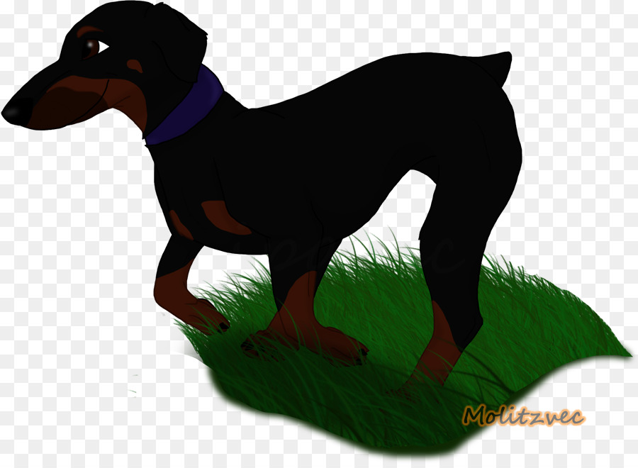 Dobermann，Pinscher Alemán PNG