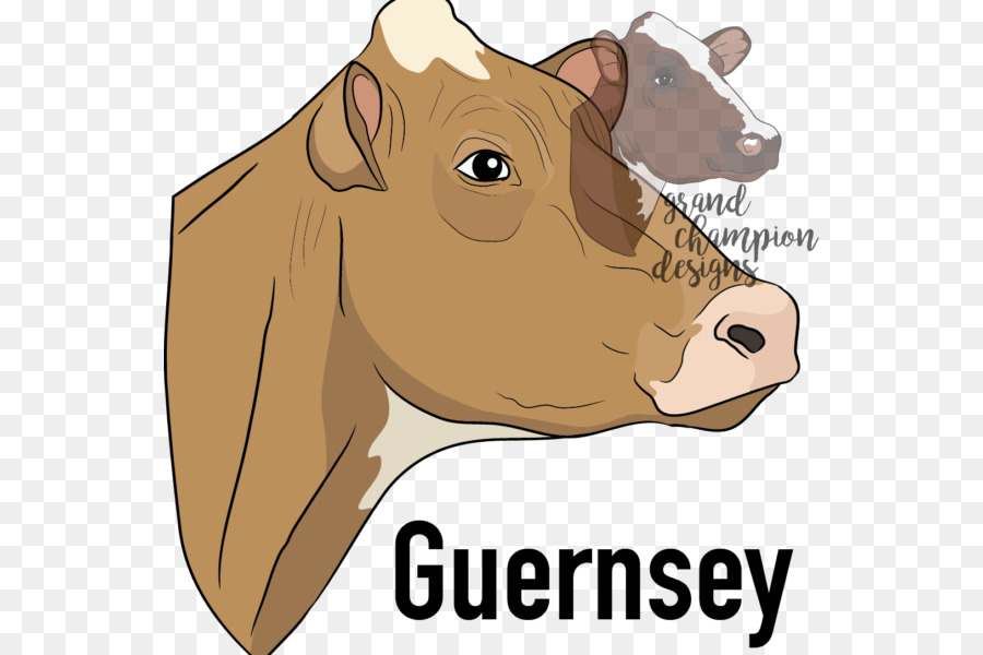 Vaca De Guernesey，Ganado PNG