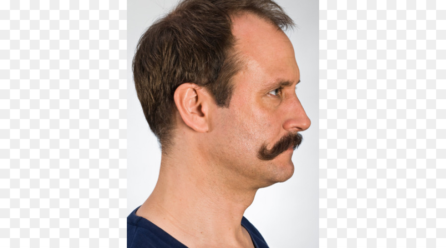 La Barbilla，Bigote PNG