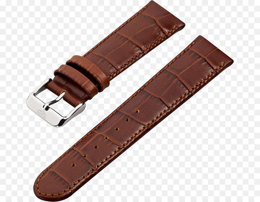 Correa De Reloj，Reloj PNG