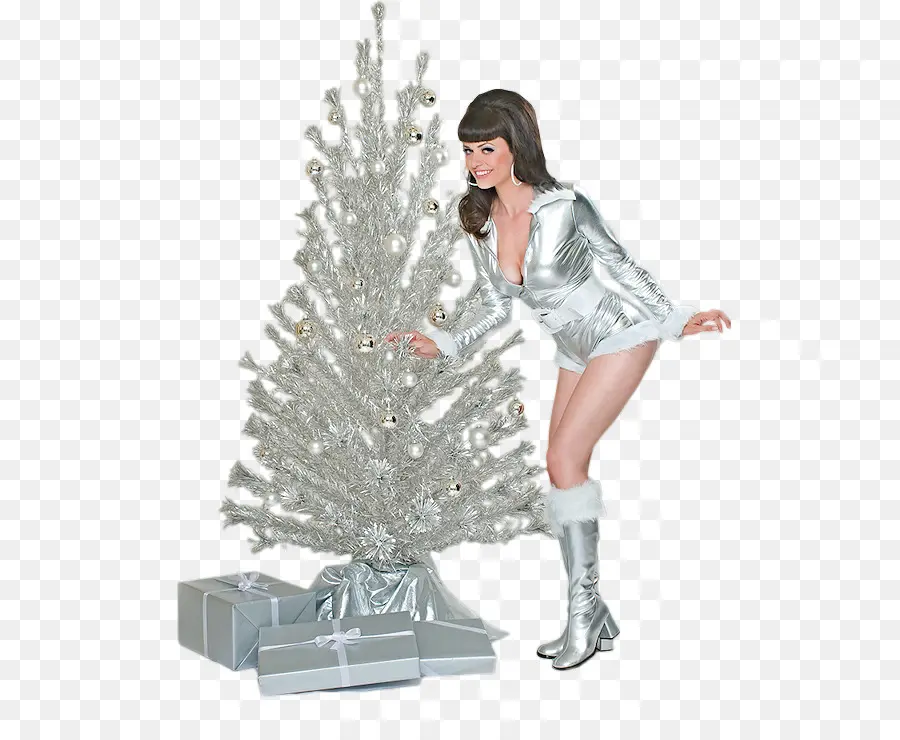 Mujer En Traje Plateado，Navidad PNG