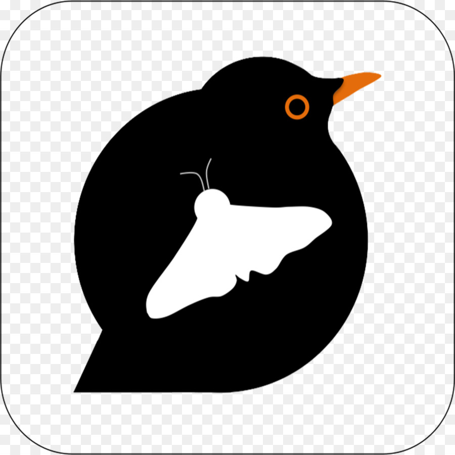 Pingüino，Aves PNG