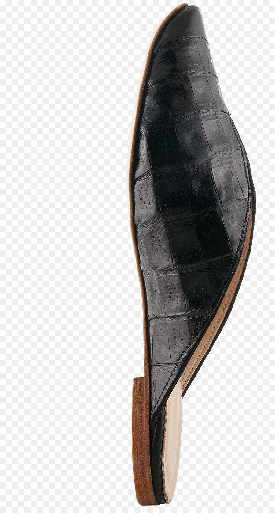 Zapato， PNG