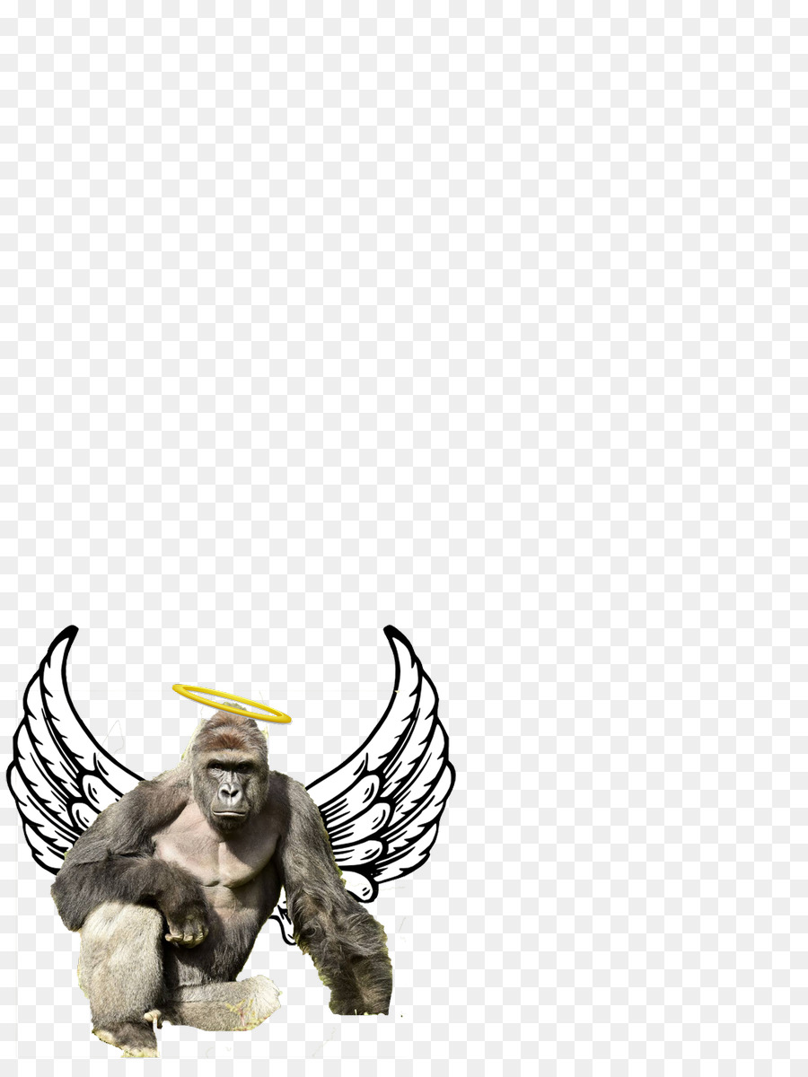 Gorila Con Alas，Ángel PNG