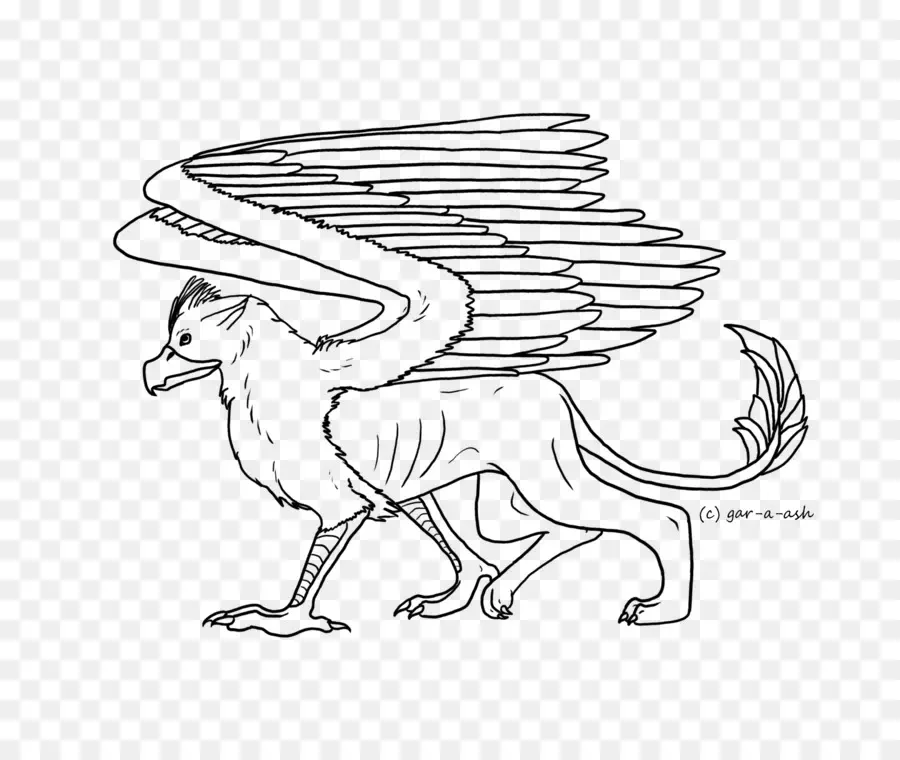 Libro Para Colorear，Griffin PNG