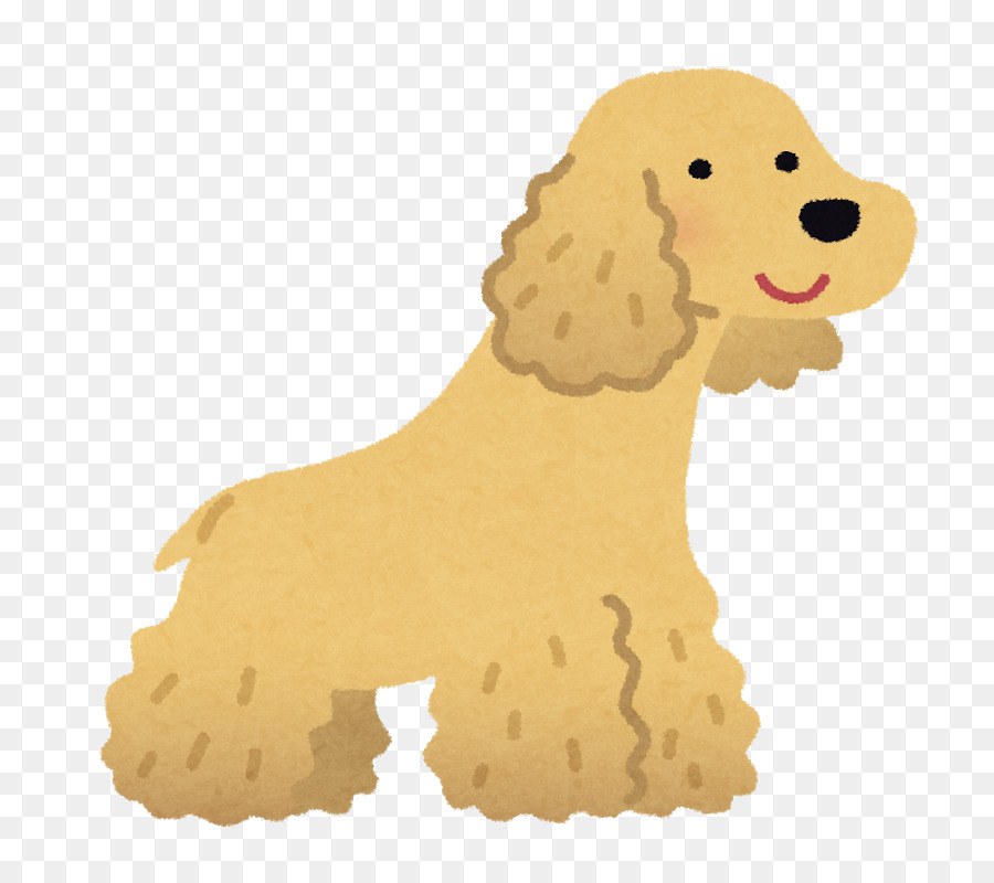 Cockapoo，Raza De Perro PNG