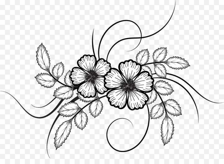 Dibujo，Flor PNG