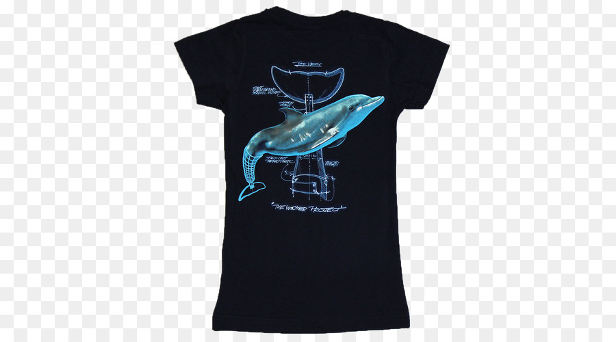 Camiseta，Acuario Marino De Clearwater PNG