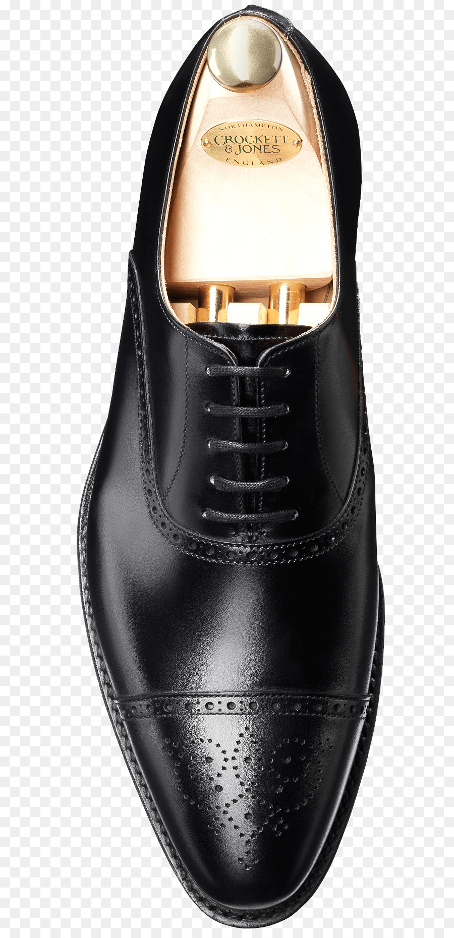 Zapato Oxford，De Cuero PNG