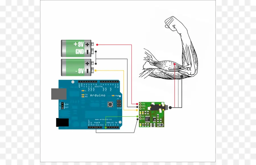 El Componente Electrónico De La，La Electromiografía PNG