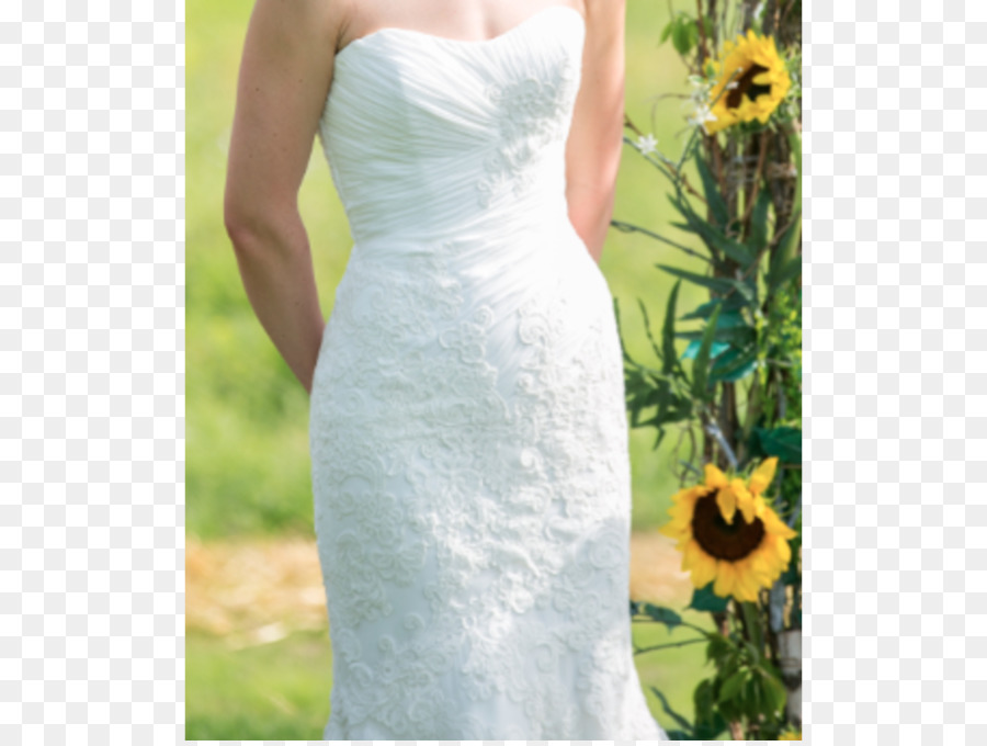 Vestido De Novia，Vestido PNG