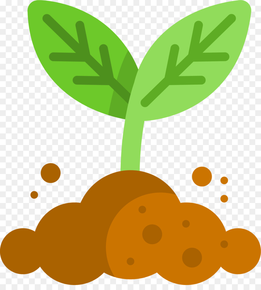 Planta，Planta De Semillero PNG