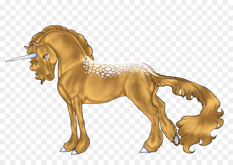 León，Appaloosa PNG