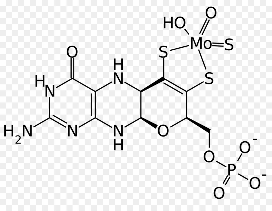 La Tirosina Hidroxilasa，La Química PNG