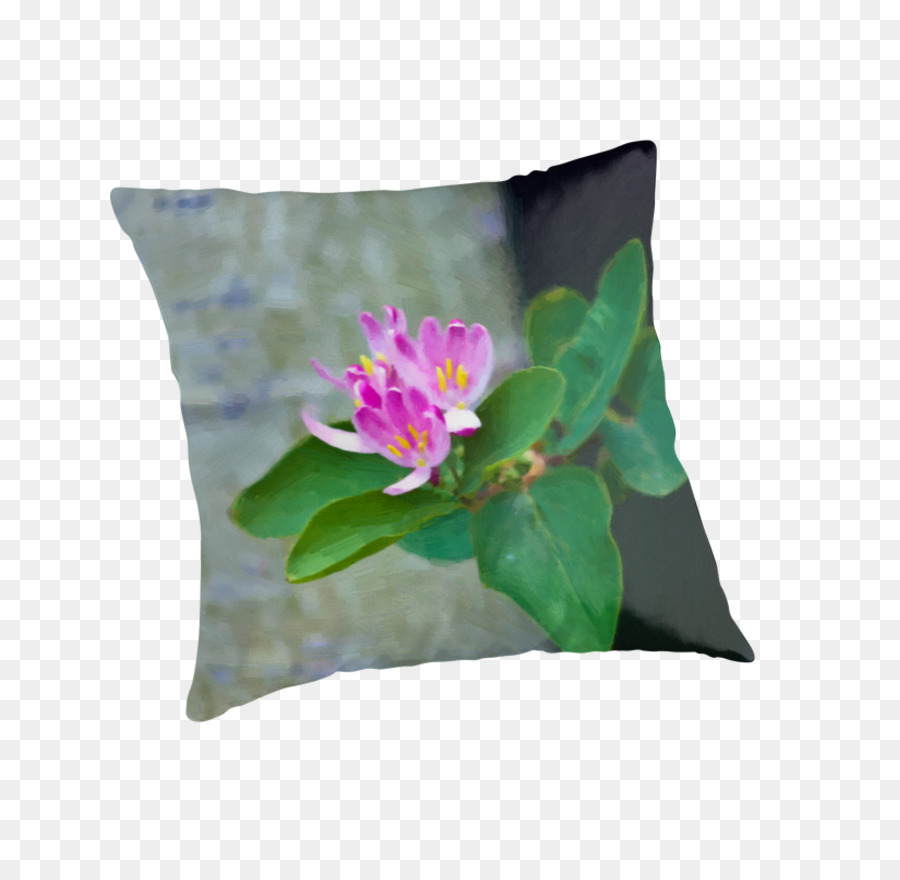 Almohadas，Almohada PNG