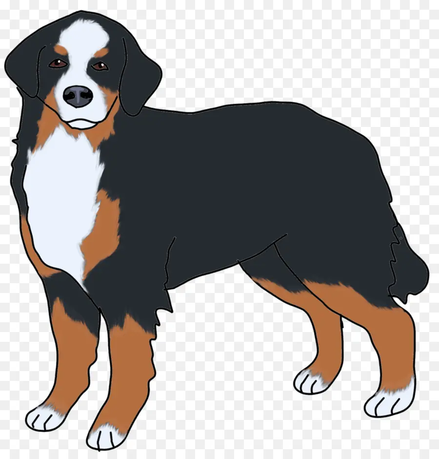 Perro De Montaña Bernés，Gran Boyero Suizo PNG