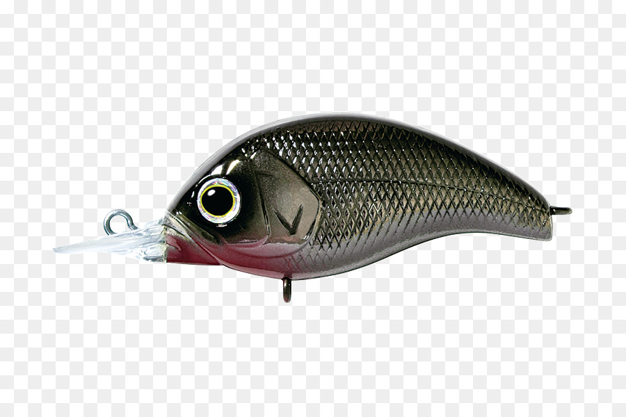 Señala，Pescado Aceitoso PNG