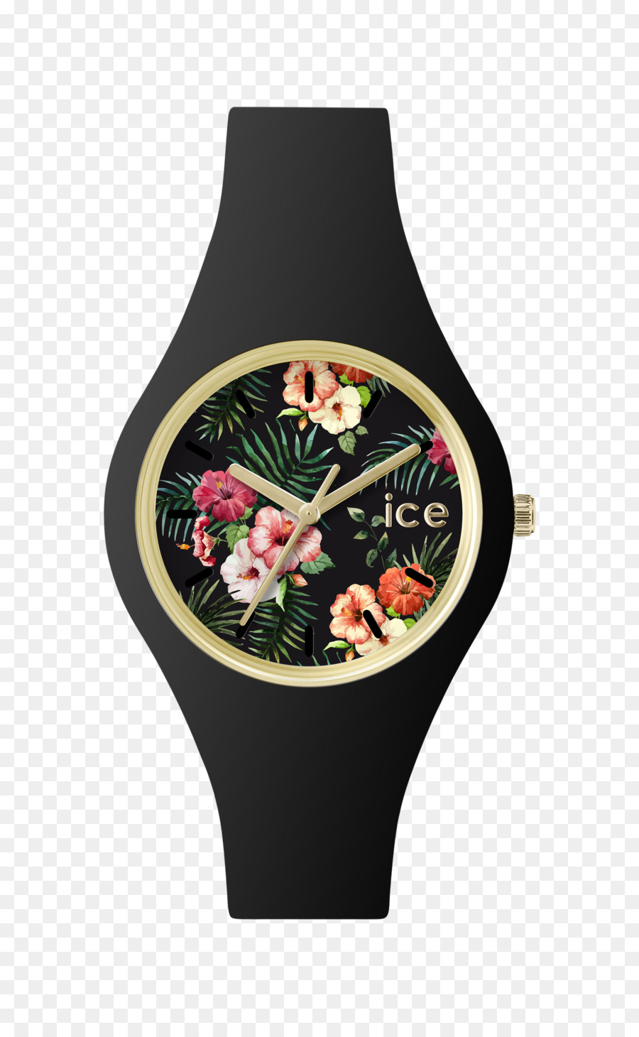 Ice Watch，Reloj PNG