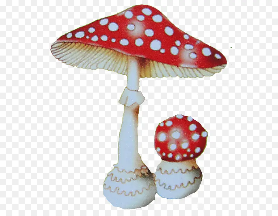 Amanita，Hongo PNG