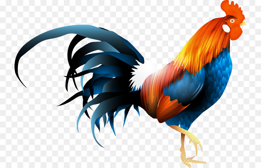 Gallos Peleando，Plumas PNG