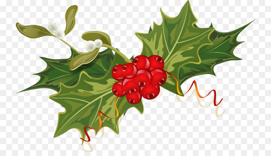 Acebo Con Frutos Rojos，Navidad PNG