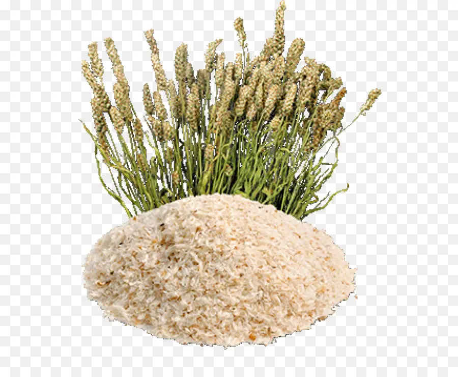 Cáscara De Psyllium，Fibra PNG