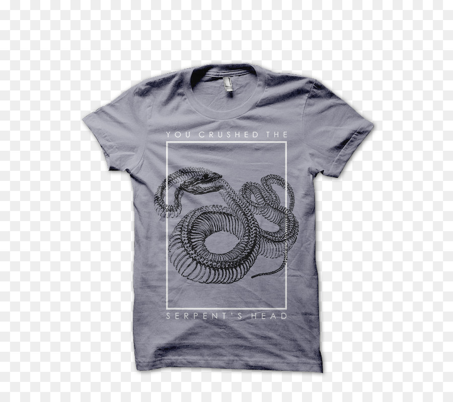 Camiseta，Ropa PNG