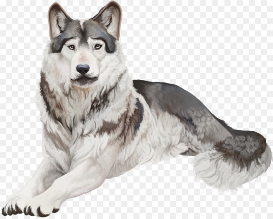 Perro，Mascota PNG