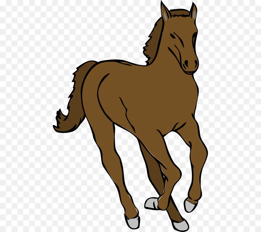 Caballo，Potro PNG