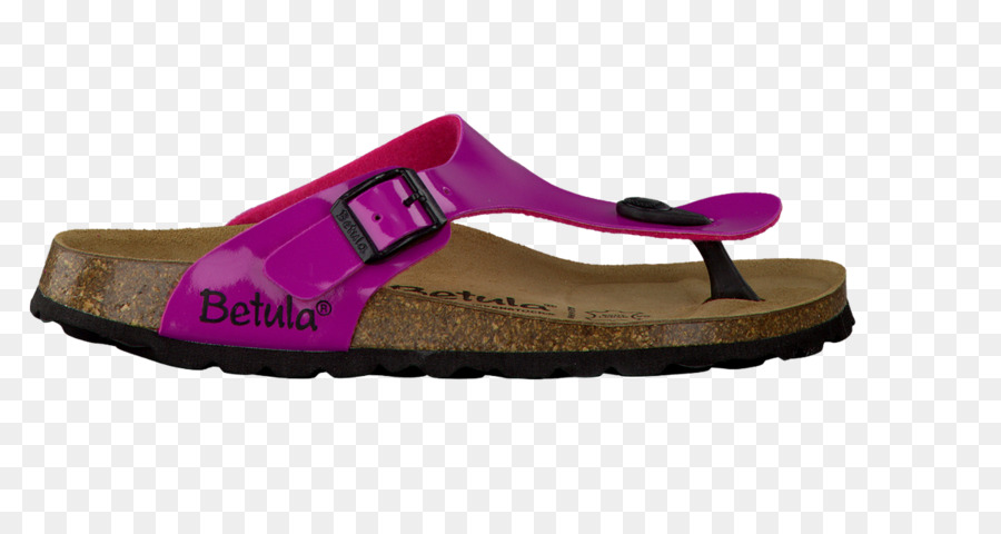 Zapatillas De Deporte，Chanclas PNG