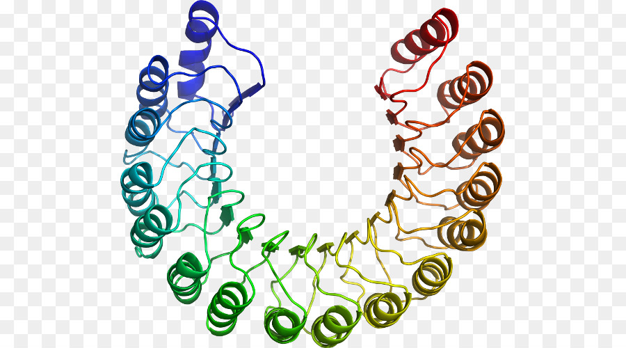 El Cuerpo De La Joyería，Línea PNG