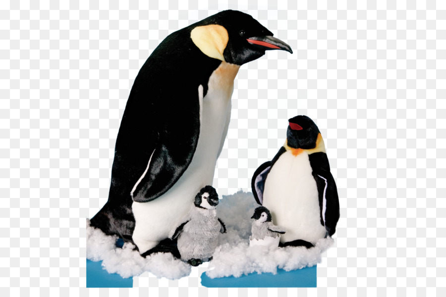 Pingüino Rey，Polluelo De Pingüino PNG