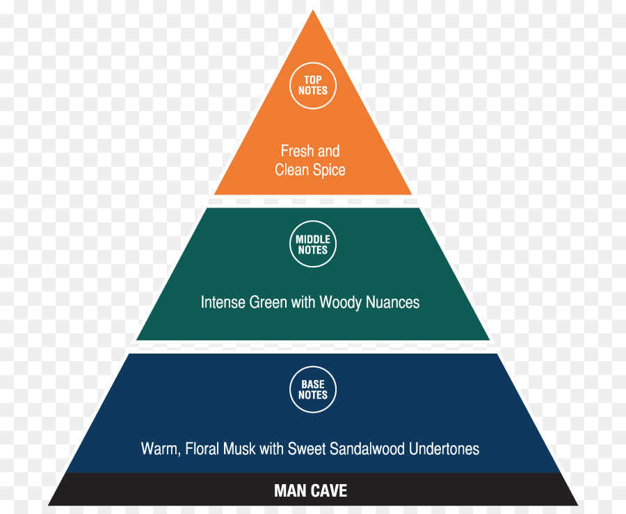 Ideal Jugador De Equipo Cómo Reconocer Y Cultivar Las Tres Virtudes Esenciales，Equipo PNG