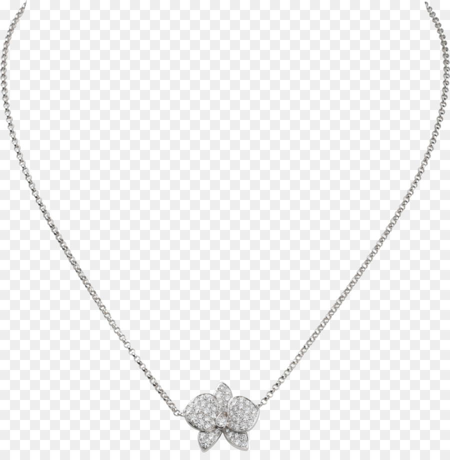 Medallón，Collar PNG