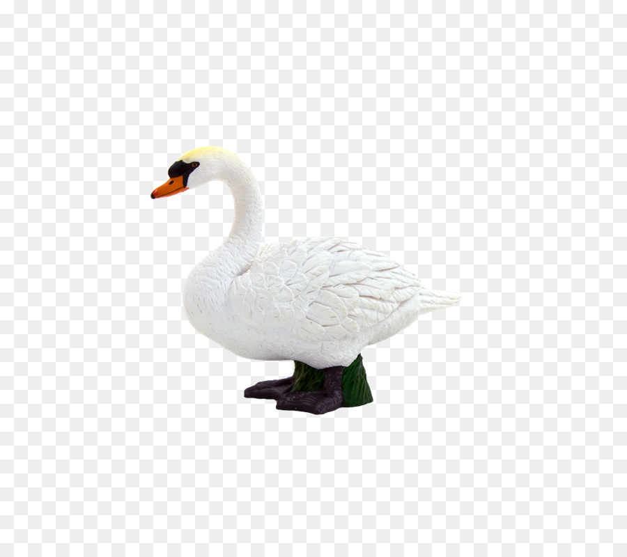 Mudo Cisne，Ganso PNG