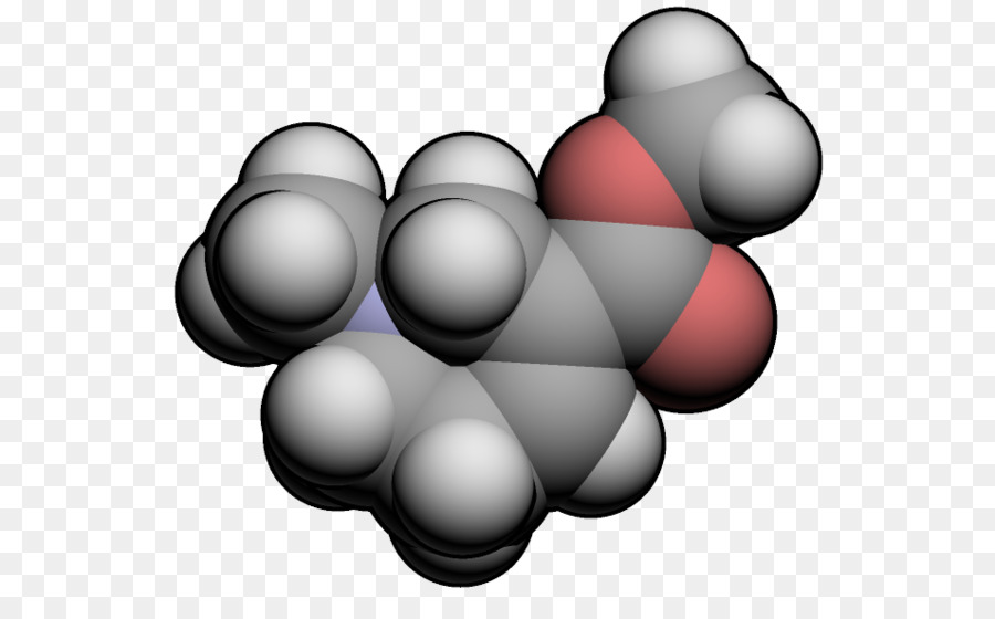 Arecolina，Alcaloide PNG