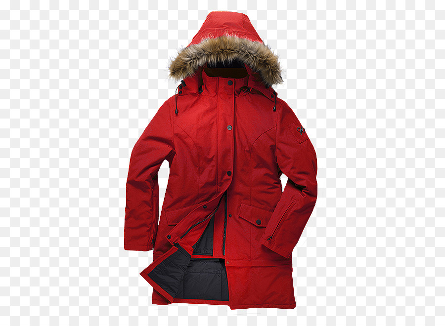 Chaqueta，Ganso De Canadá PNG