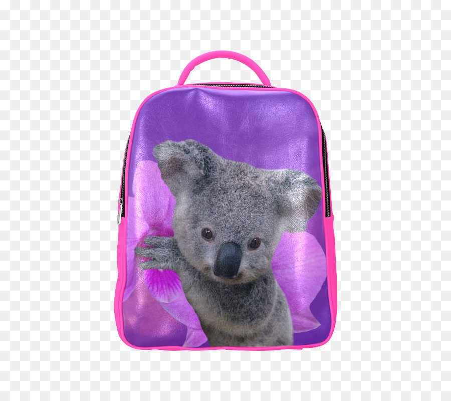 Koala，Australia PNG