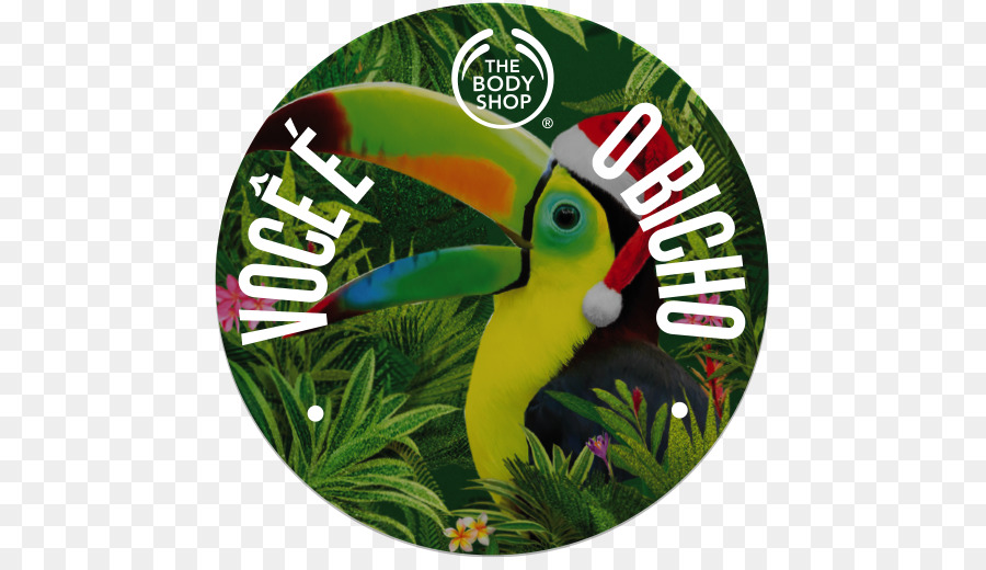 Body Shop，Pico PNG