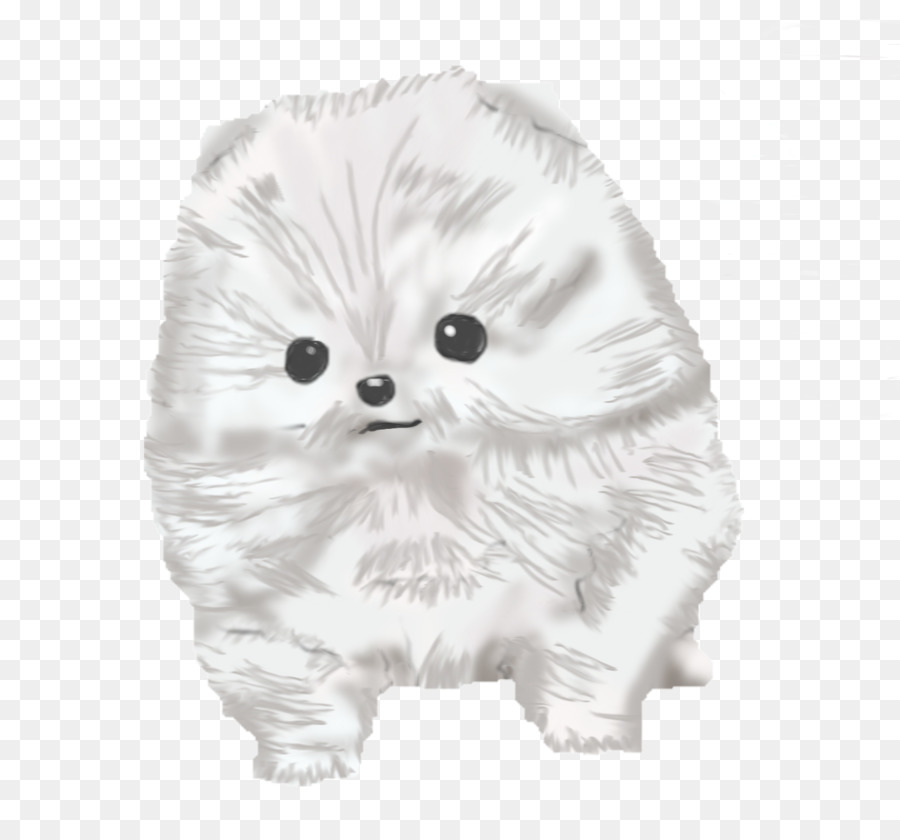 Perro Blanco Esponjoso，Lindo PNG