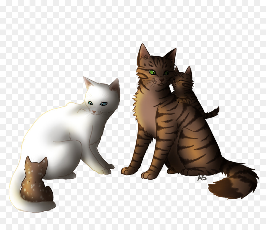 Dos Gatos，Felino PNG