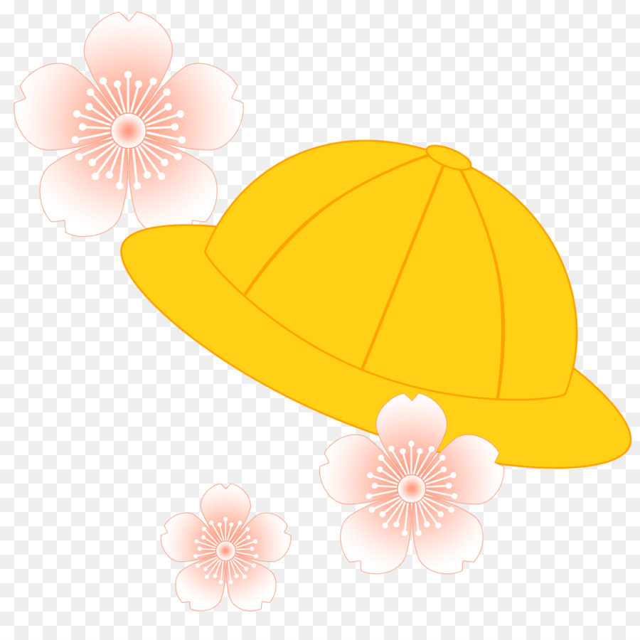 Sombrero，Matriculación PNG