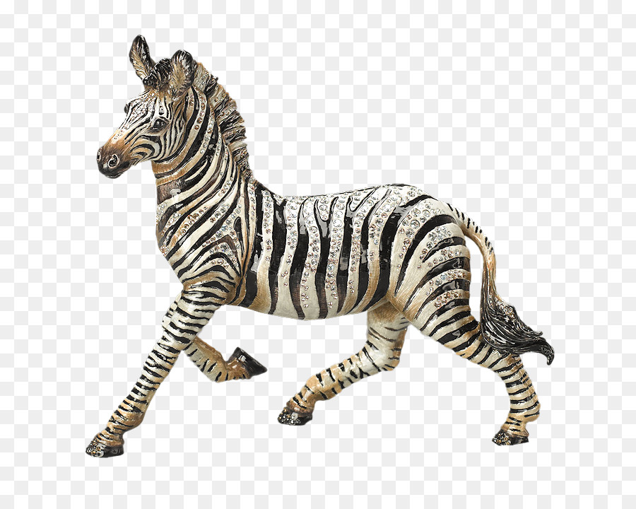 Tigre，Quagga PNG