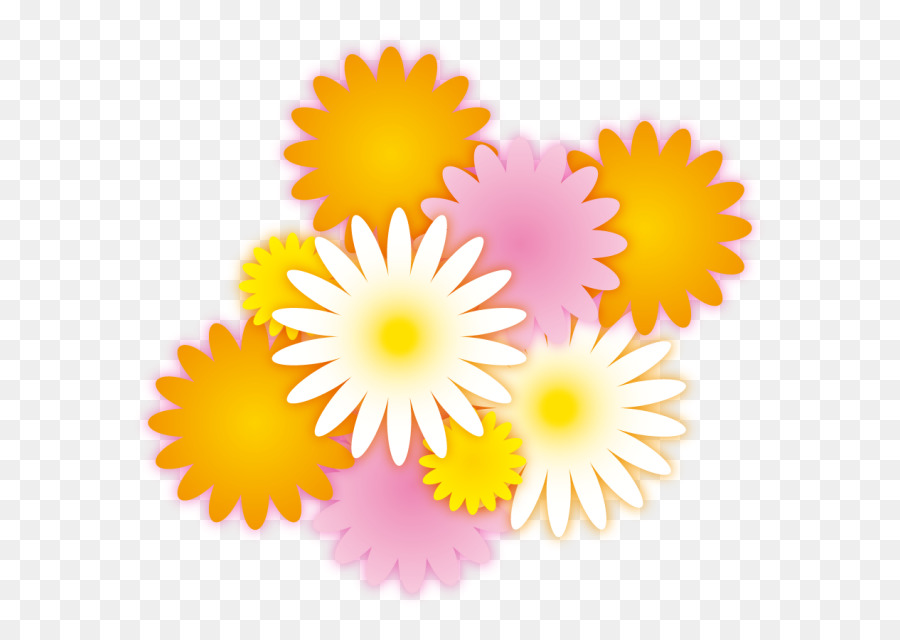 Dibujo，Común Daisy PNG