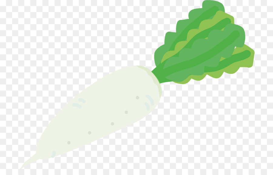 Daikon，Ingrediente PNG