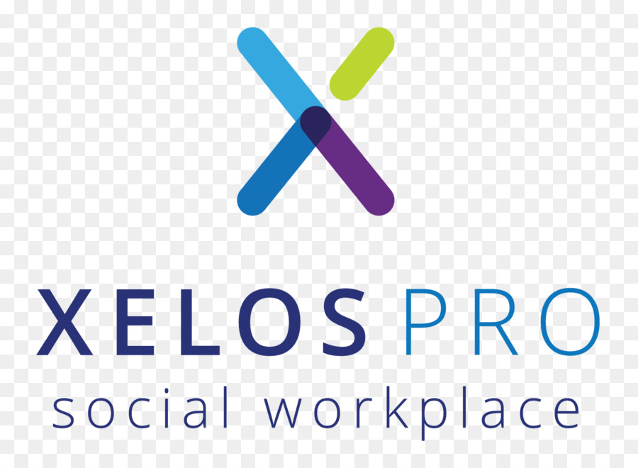 Xelos Lugar De Trabajo Social，Software Informático PNG